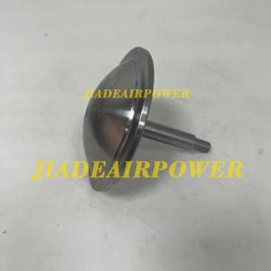 1623038500 Check Valve One-Way Valve Only for Screw Compressor